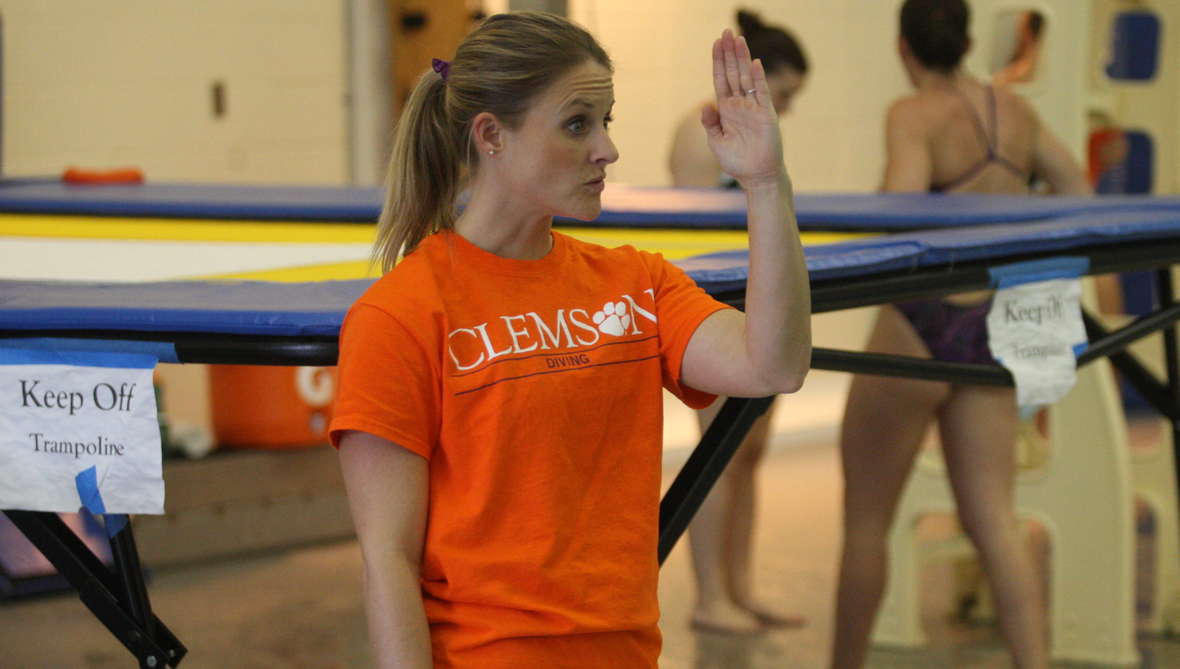 Inaugural Home Diving Meet Features Tigers, Wildcats