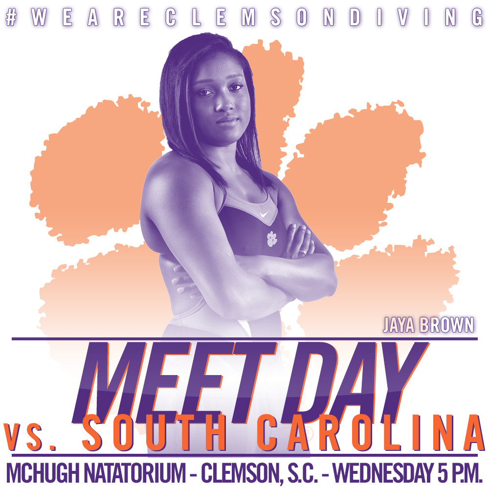 Tigers and Gamecocks to Face Off in McHugh Natatorium