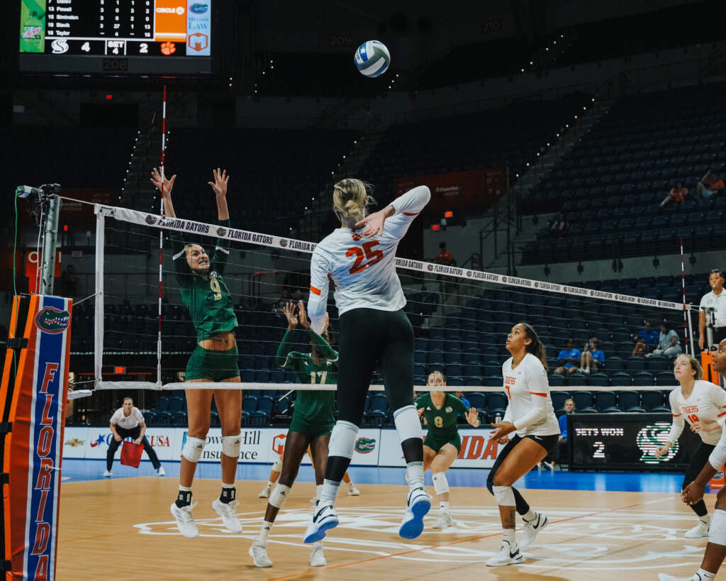 Hurta, Tigers Sting Hornets